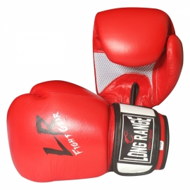 Boxing Gloves